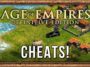 AGE OF EMPIRES 2 CHEATS